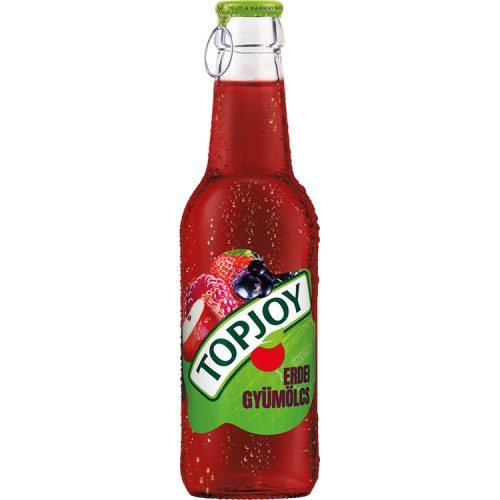Topjoy glass forest fruit - 250ml